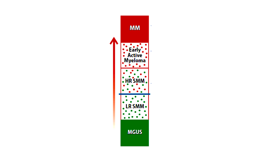 Mutiple Myeloma Development