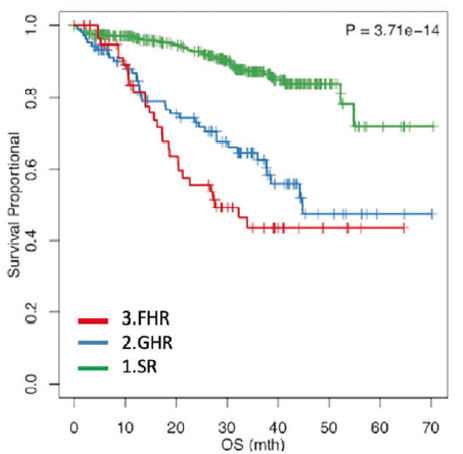 OS in the R, GHR, and FHR groups