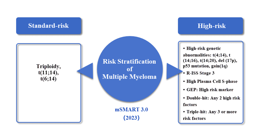 Risk Stratification of Multiple Myeloma