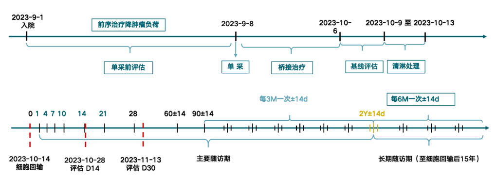 Timeline Review of Equecabtagene (BCMA CAR-T) Treatment